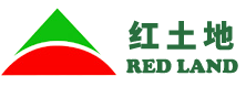 新360雨燕直播